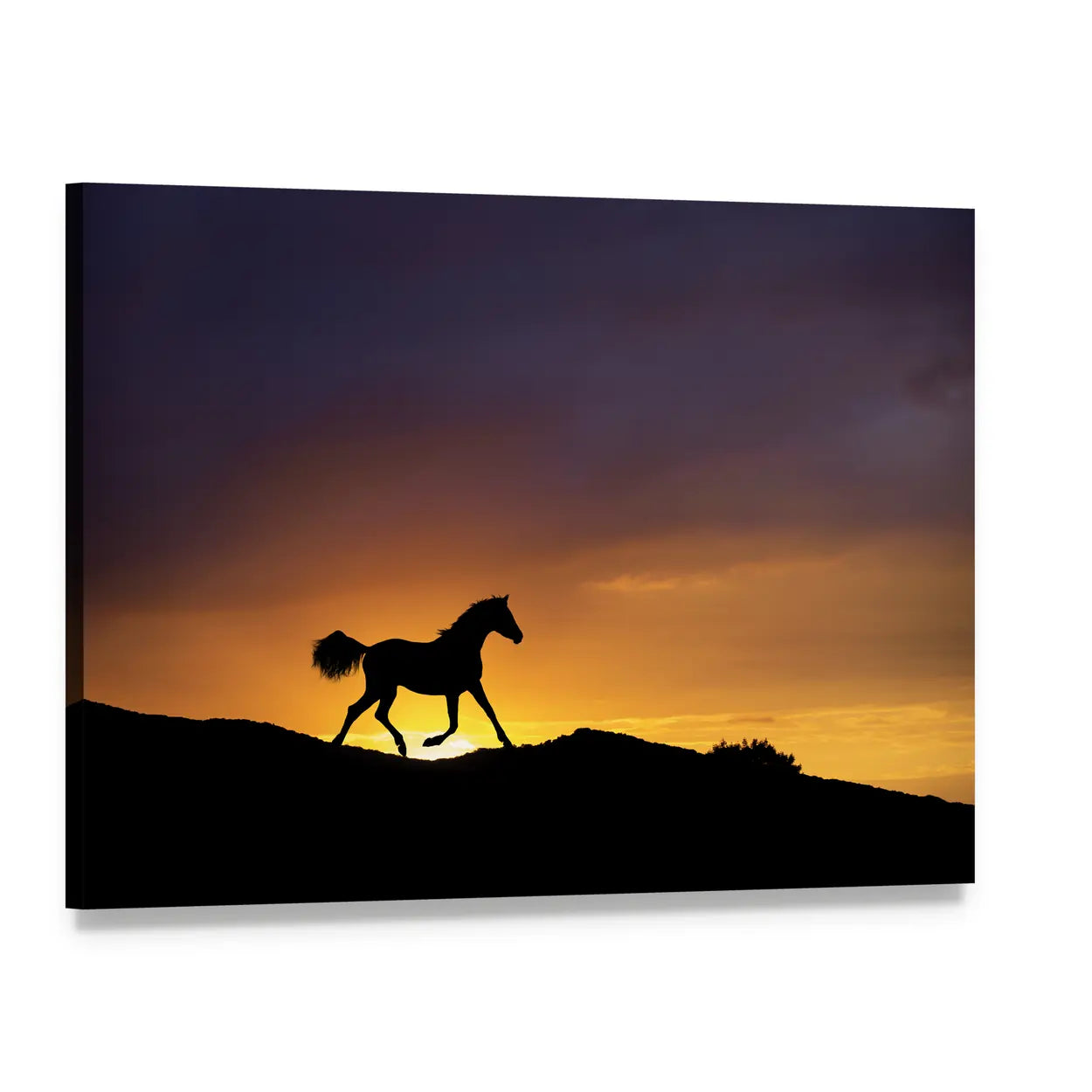 Galloping Horse Silhouette at Sunset Canvas Wall Art, single panel gallery wrapped canvas, angled product view