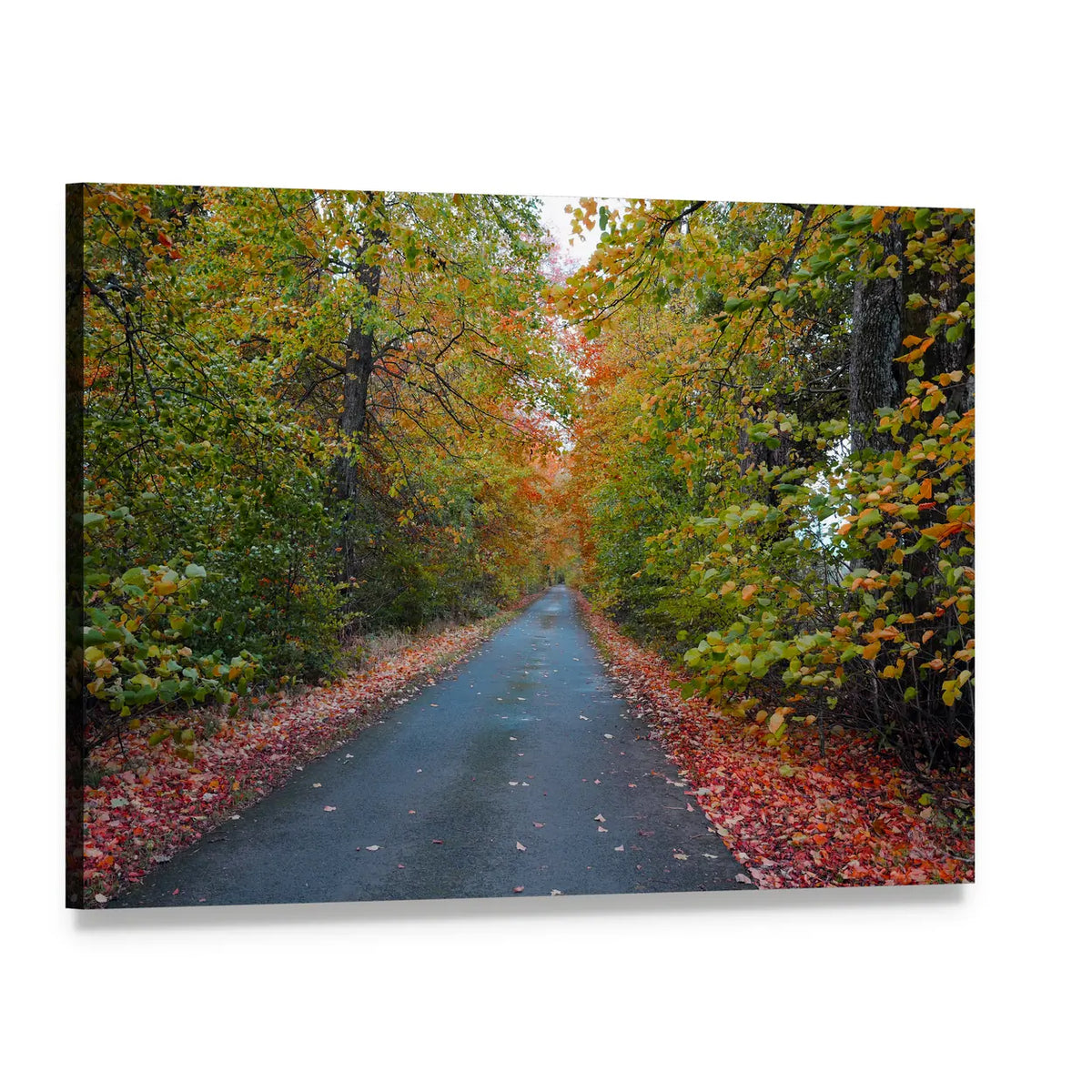 Quiet Leafy Country Lane Canvas Wall Art, single panel gallery wrapped canvas, angled product view