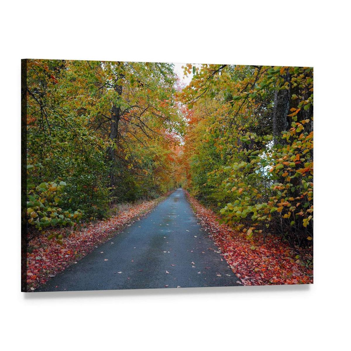 Quiet Leafy Country Lane Canvas Wall Art, single panel gallery wrapped canvas, angled product view