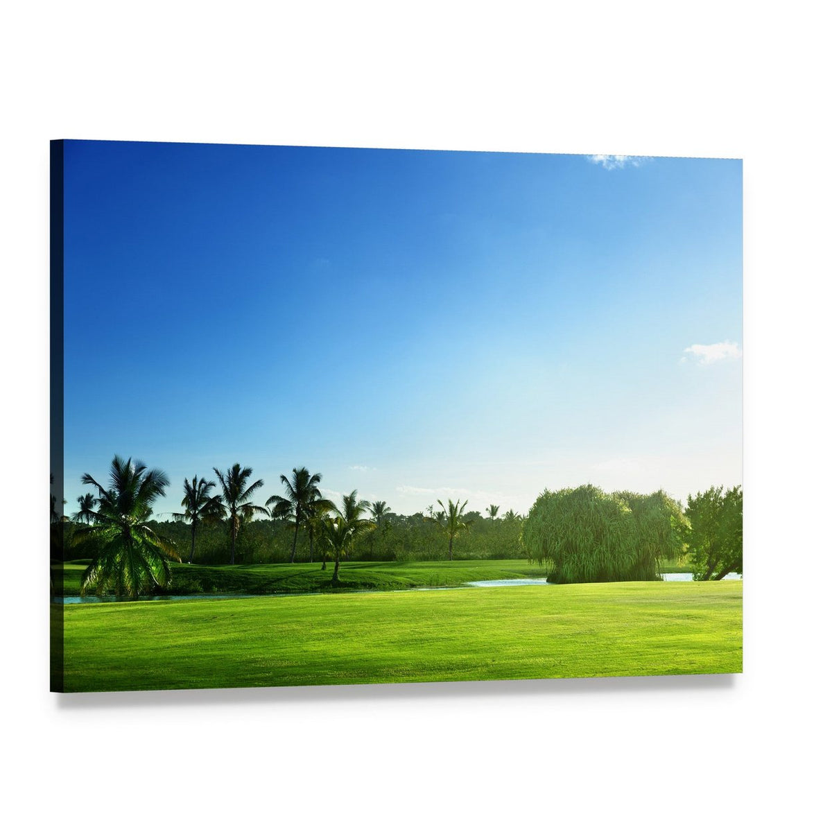 Sunny Golf Course with Palm Trees Canvas Wall Art, single panel gallery wrapped canvas, angled product view
