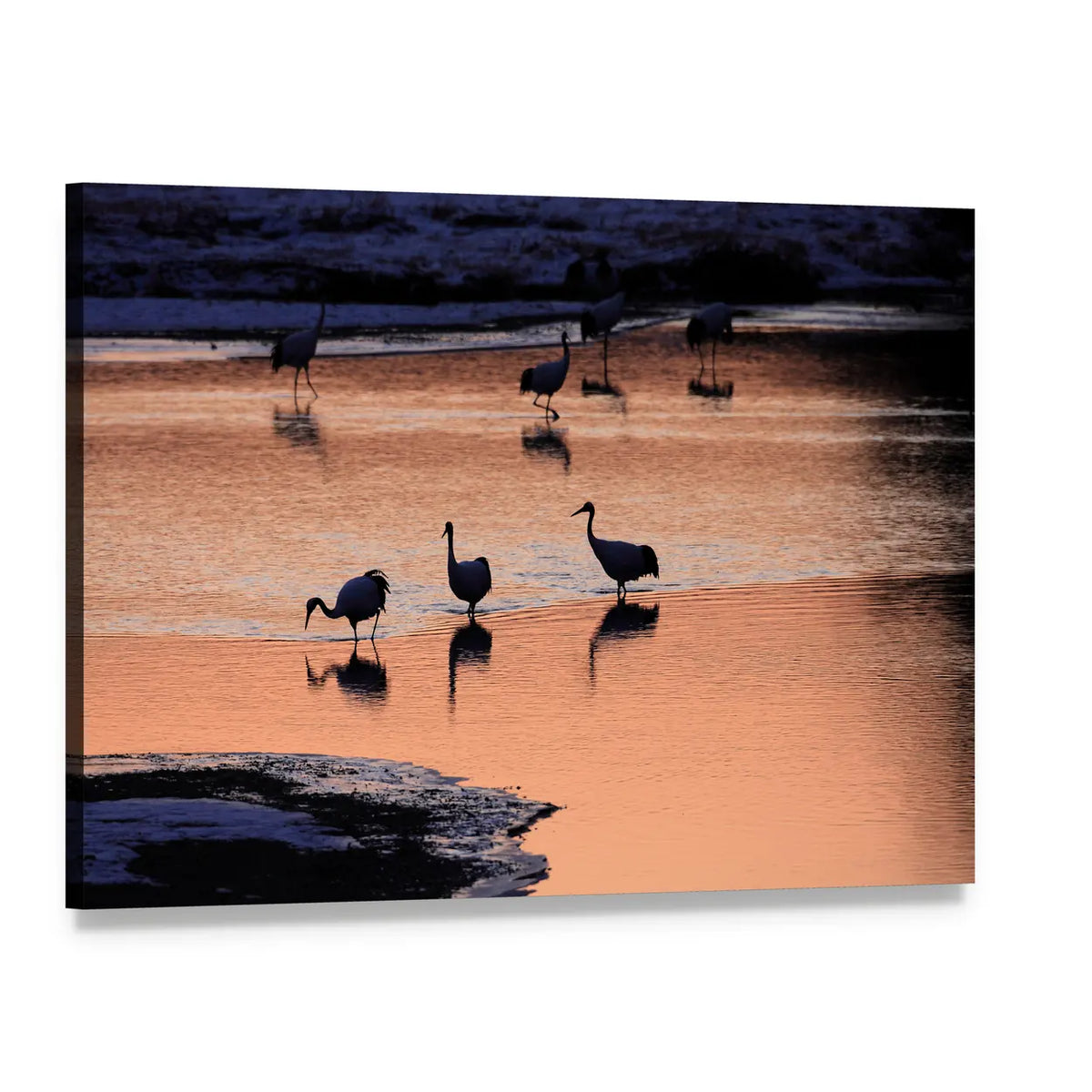 Japanese Cranes at Sunset Canvas Wall Art, single panel gallery wrapped canvas, angled product view