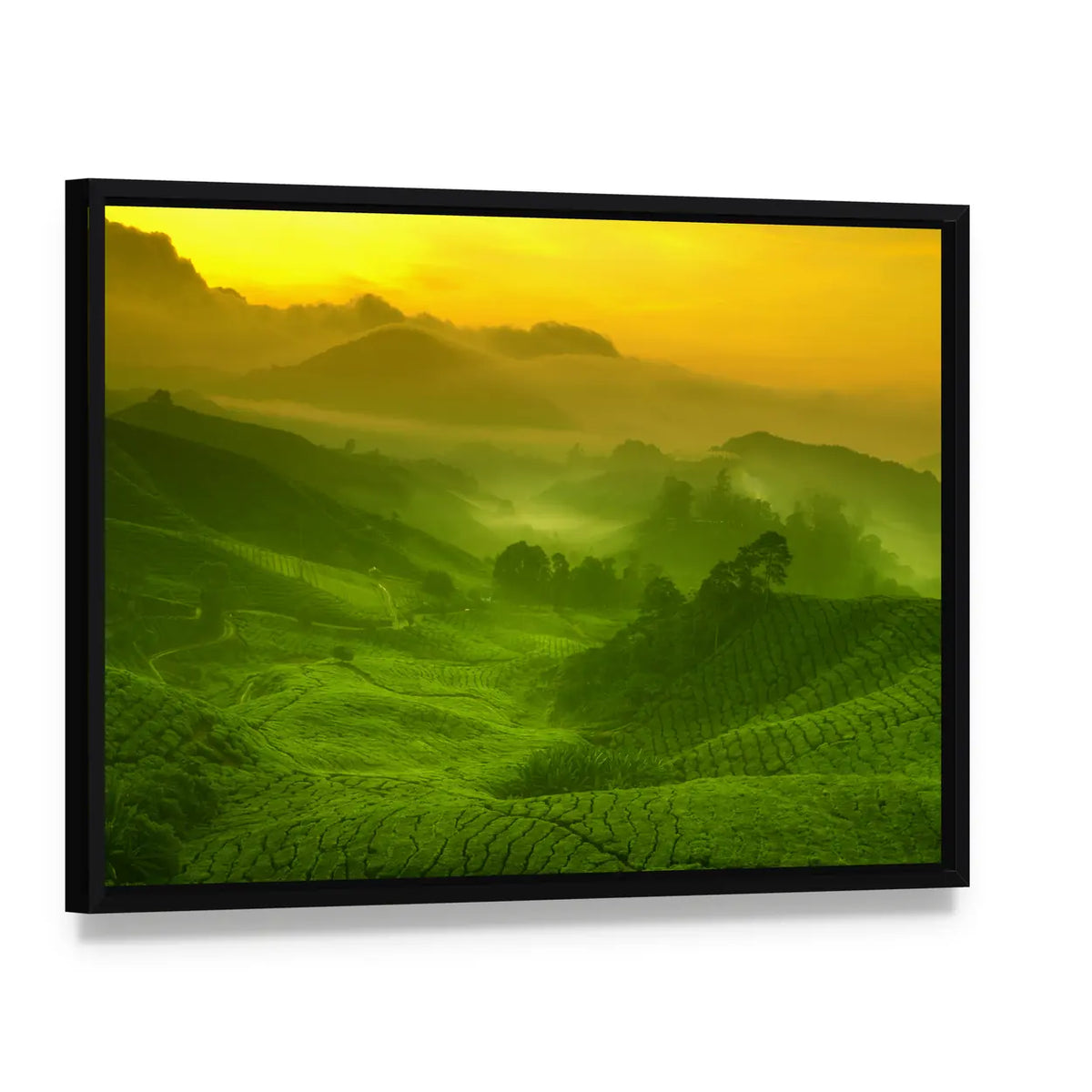 Tea Plantation In Cameron Highland At Sunrise Canvas Wall Art, framed canvas in a black floater frame, angled product view