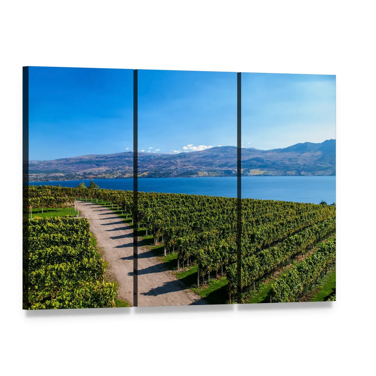 Mission Hill Vineyard Over Lake Okanagan Canvas Wall Art, 3 panel 3 Horizontal layout gallery wrapped canvas set, angled product view