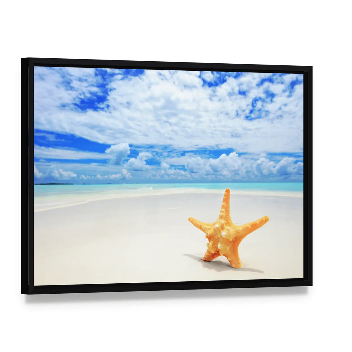 Starfish on Kuredu Island Beach Canvas Wall Art, framed canvas in a black floater frame, angled product view