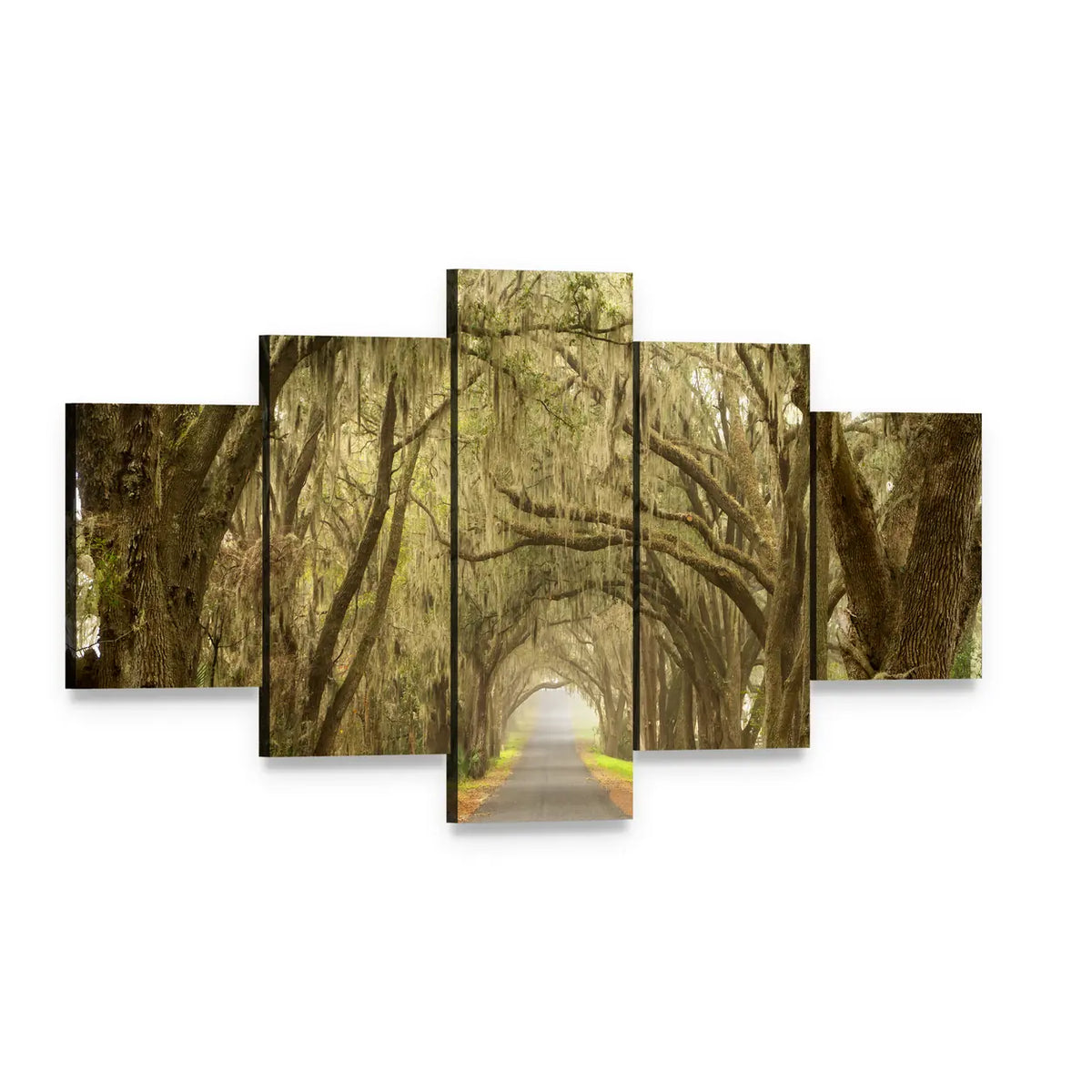 Oak Tunnel Road with Spanish Moss Canvas Wall Art, 5 panel 5 Star layout gallery wrapped canvas set, angled product view