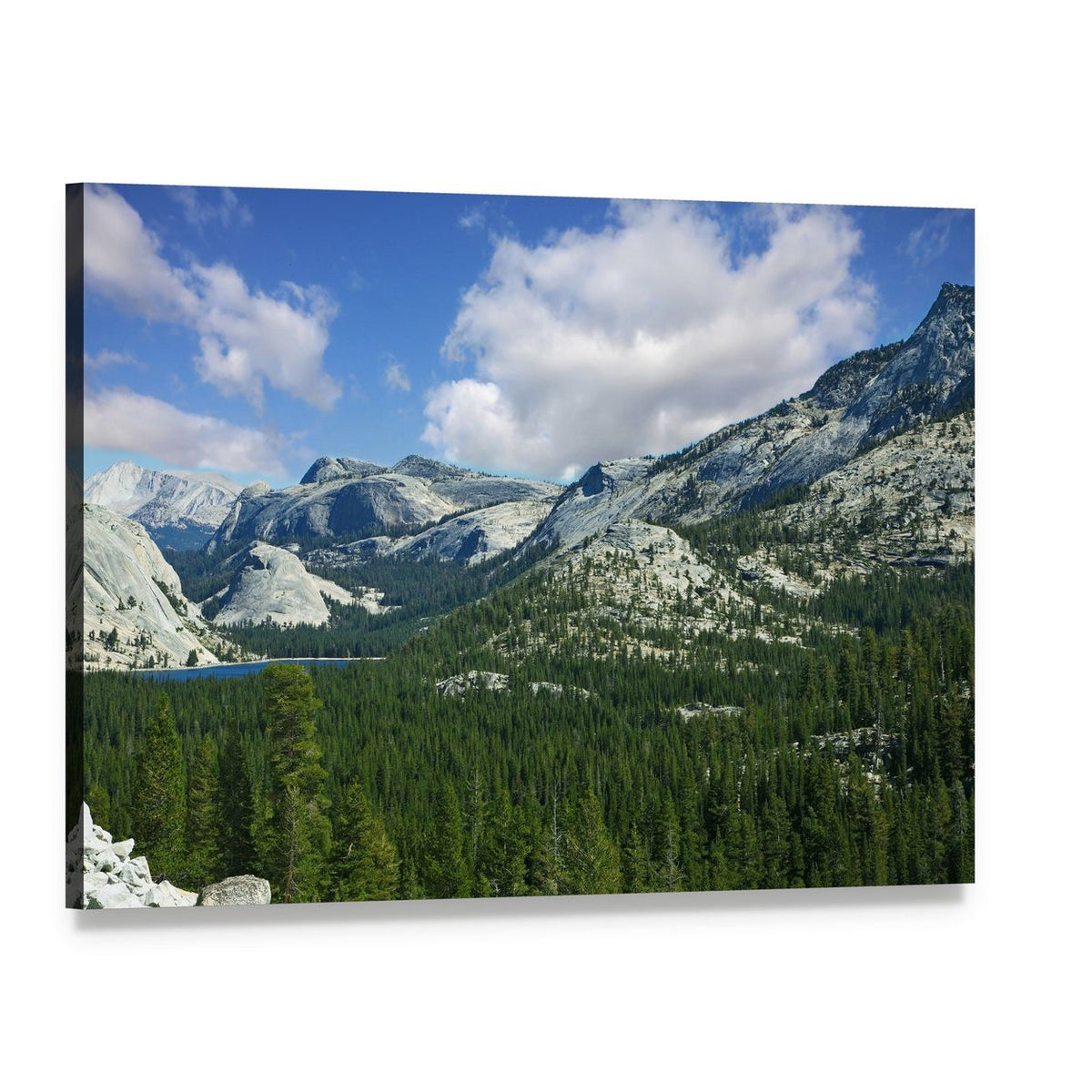 Yosemite Valley with Pine Trees and Mountains Canvas Wall Art, single panel gallery wrapped canvas, angled product view