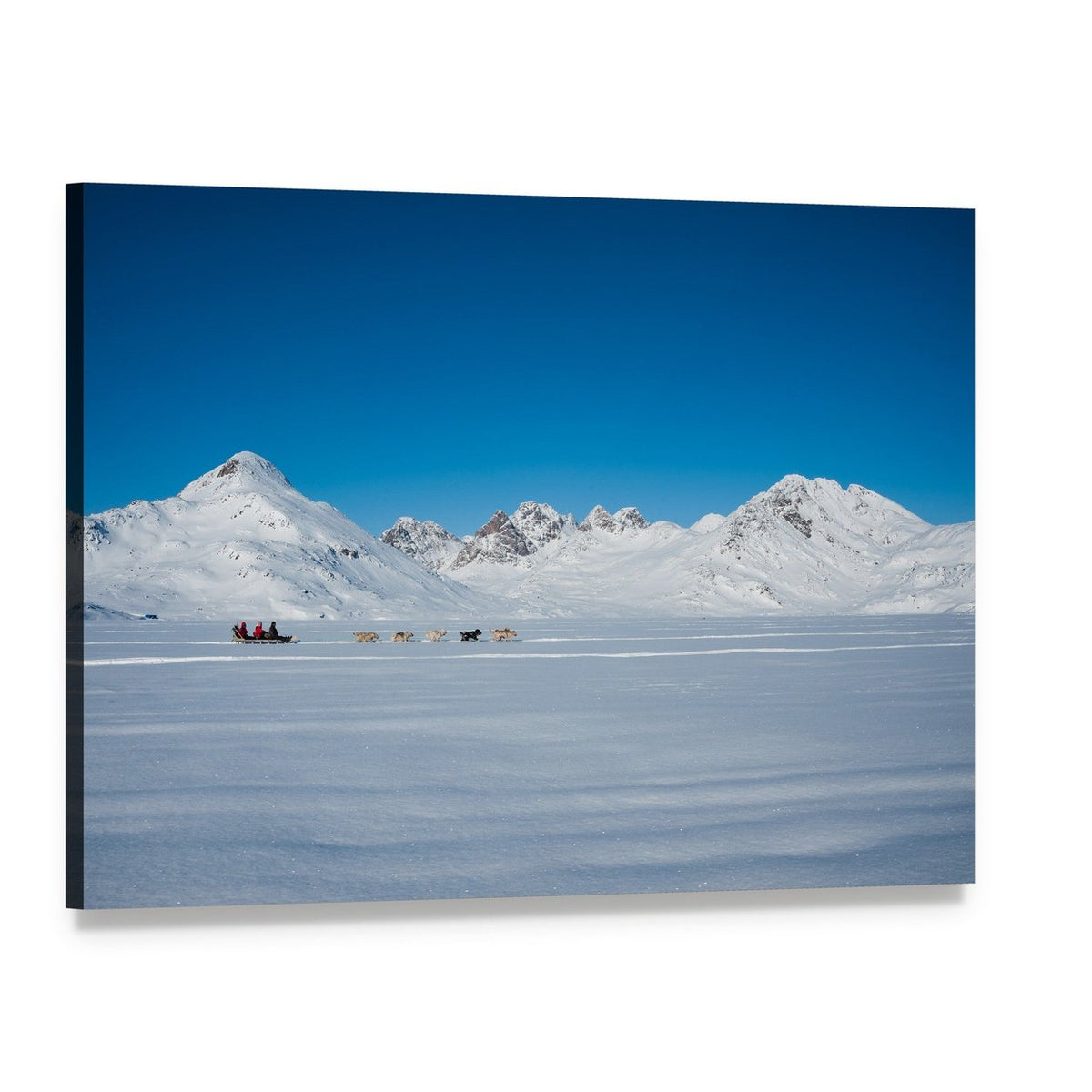 Dog Sledding in Tasiilaq Canvas Wall Art, single panel gallery wrapped canvas, angled product view