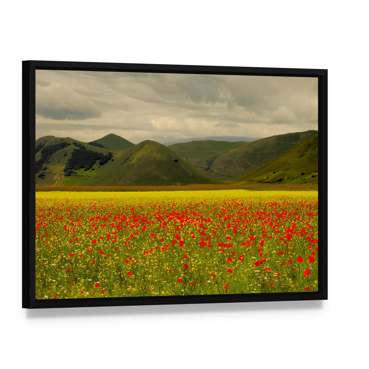 Castelluccio Di Norcia Meadow with Red Poppies Canvas Wall Art, framed canvas in a black floater frame, angled product view
