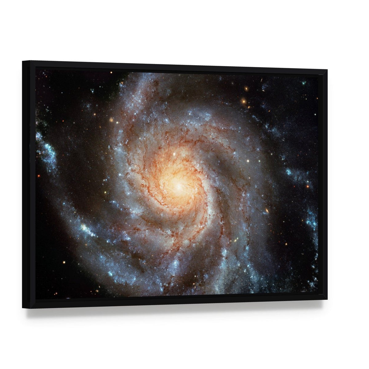 Giant Spiral Disk Canvas Wall Art, framed canvas in a black floater frame, angled product view
