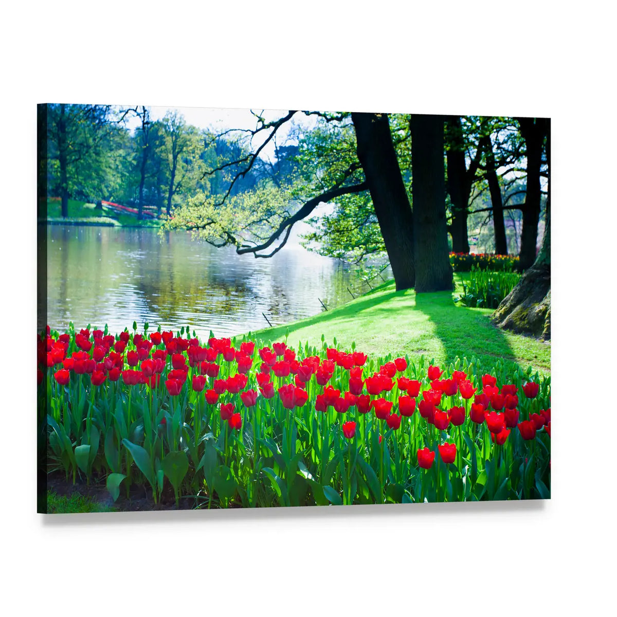 Red Tulip Garden by the Lake Canvas Wall Art, single panel gallery wrapped canvas, angled product view