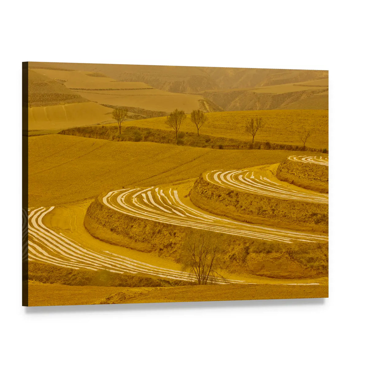 Loess Plateau Terraced Fields Canvas Wall Art, single panel gallery wrapped canvas, angled product view