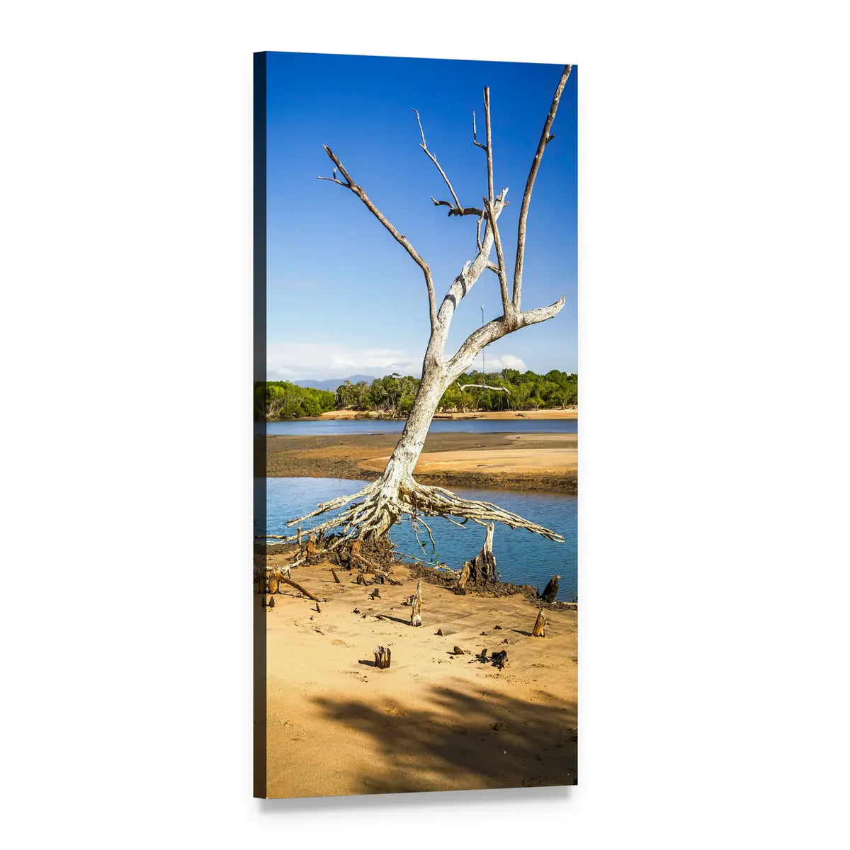 Mangrove Lake with Exposed Roots Vertical Canvas Wall Art, 1 panel 1 Vertical layout gallery wrapped canvas set, angled product view