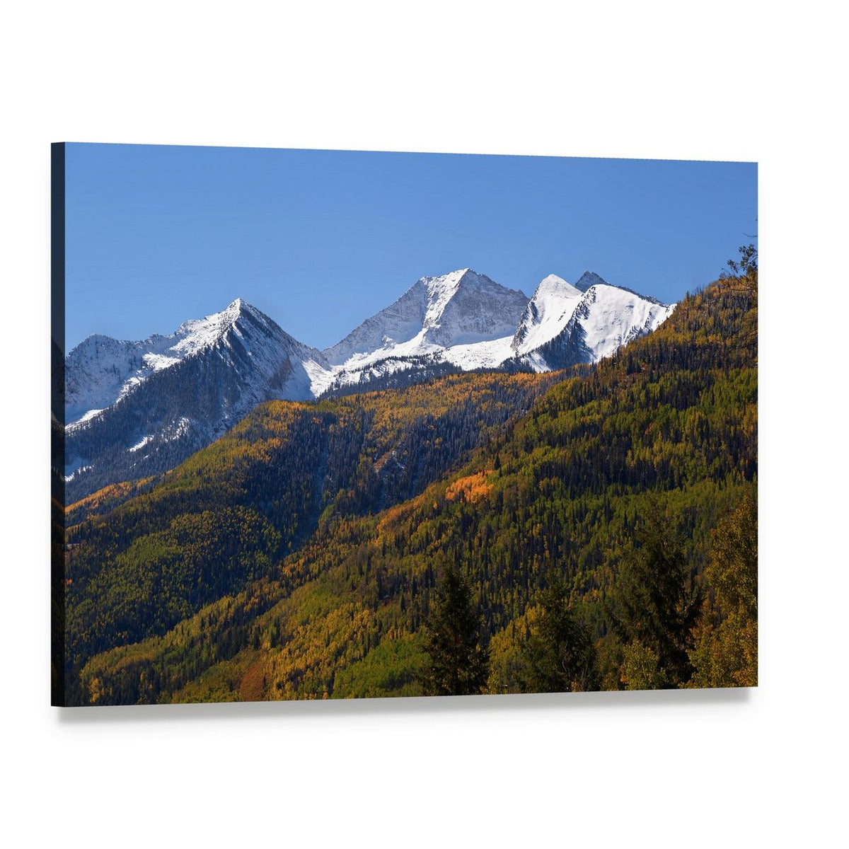 Elk Mountains in Fall Colors Canvas Wall Art, single panel gallery wrapped canvas, angled product view