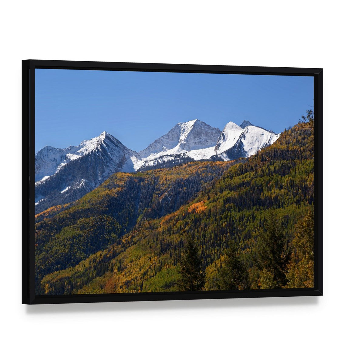 Elk Mountains in Fall Colors Canvas Wall Art, framed canvas in a black floater frame, angled product view