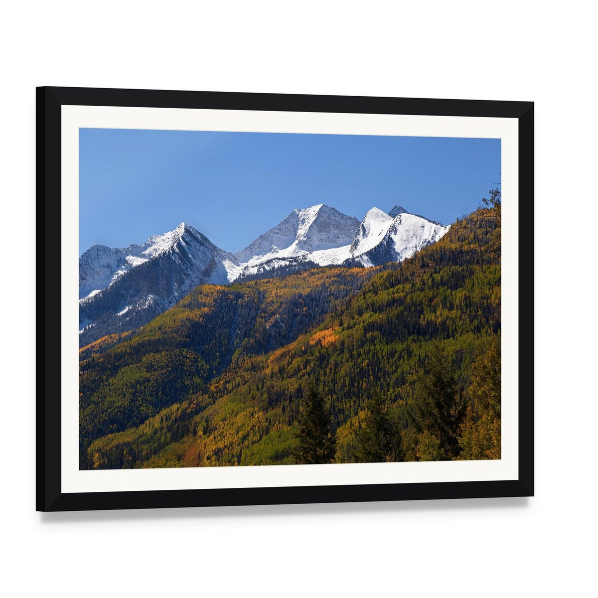 Elk Mountains in Fall Colors Canvas Wall Art, framed print with white mat and black frame, angled product view