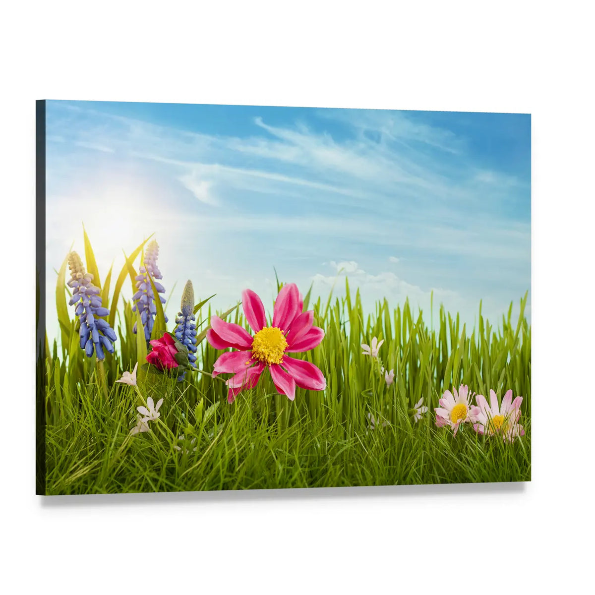 Spring Flowers Under Blue Sky Canvas Wall Art, single panel gallery wrapped canvas, angled product view