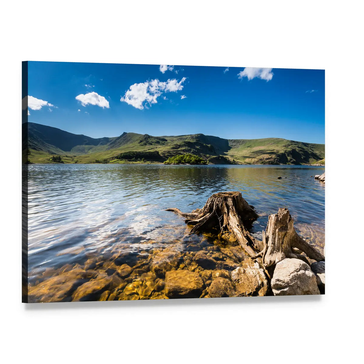 Haweswater Reservoir with Old Tree Canvas Wall Art, single panel gallery wrapped canvas, angled product view