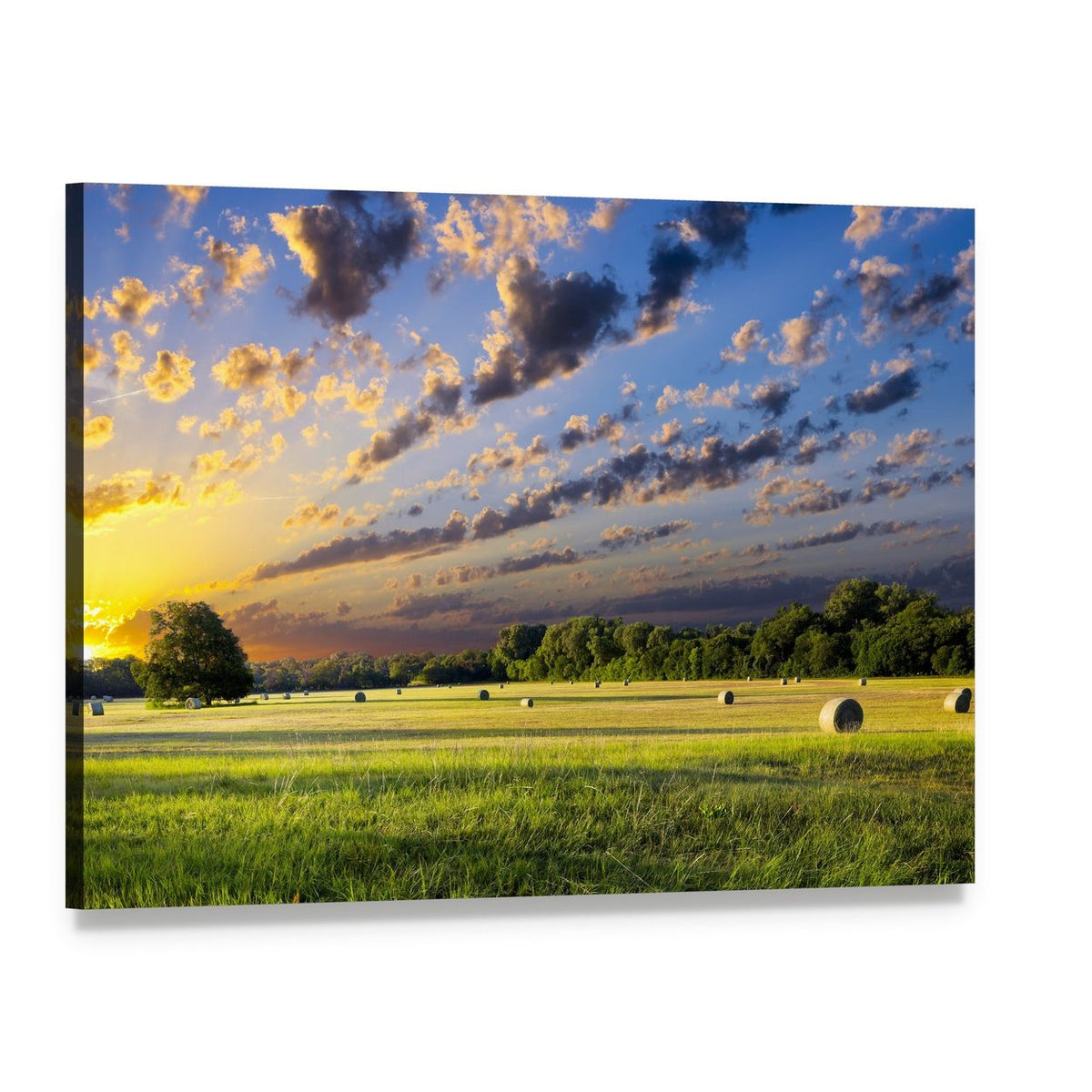 Tranquil Meadow at Sunrise Canvas Wall Art, single panel gallery wrapped canvas, angled product view