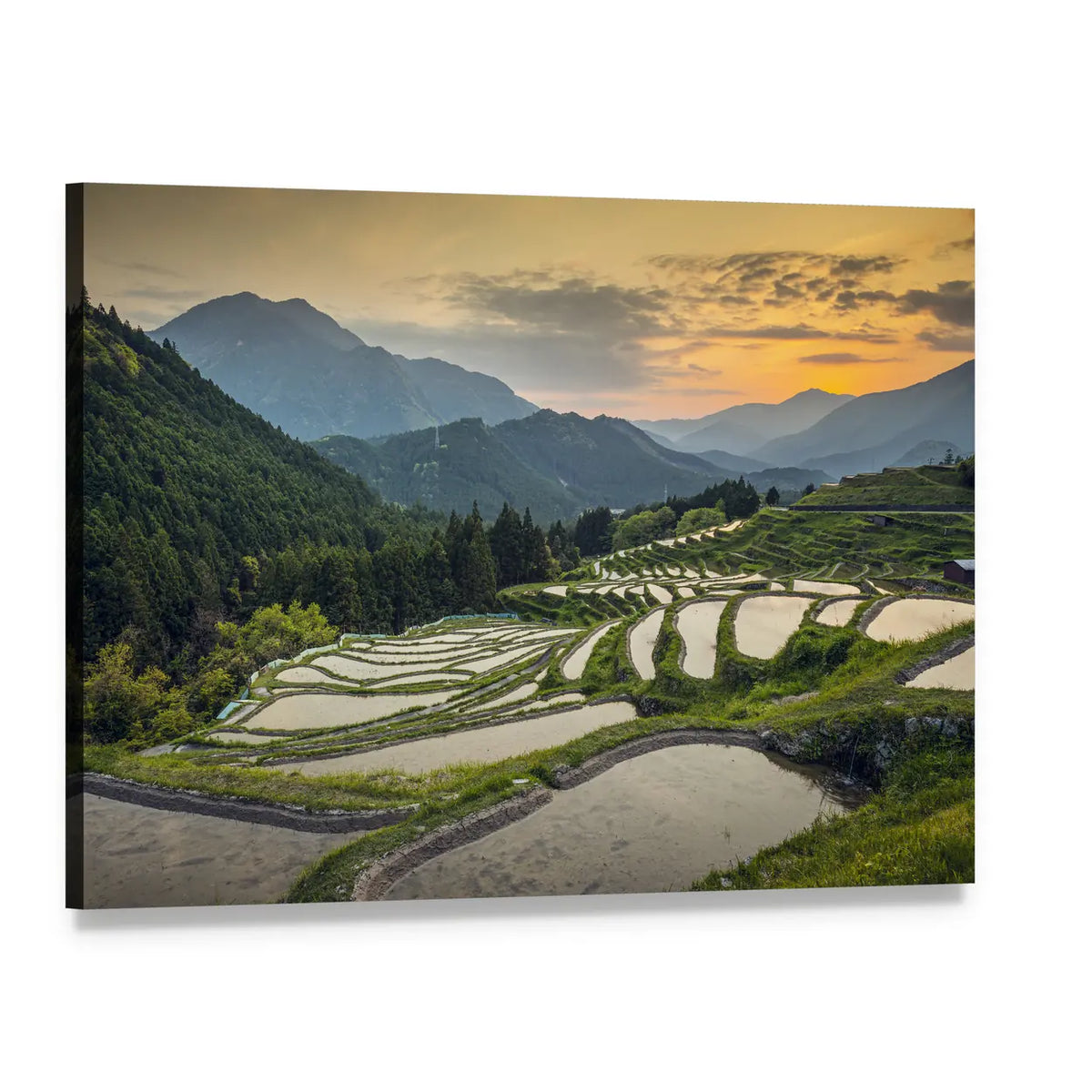Japanese Rice Terraces Canvas Wall Art, single panel gallery wrapped canvas, angled product view