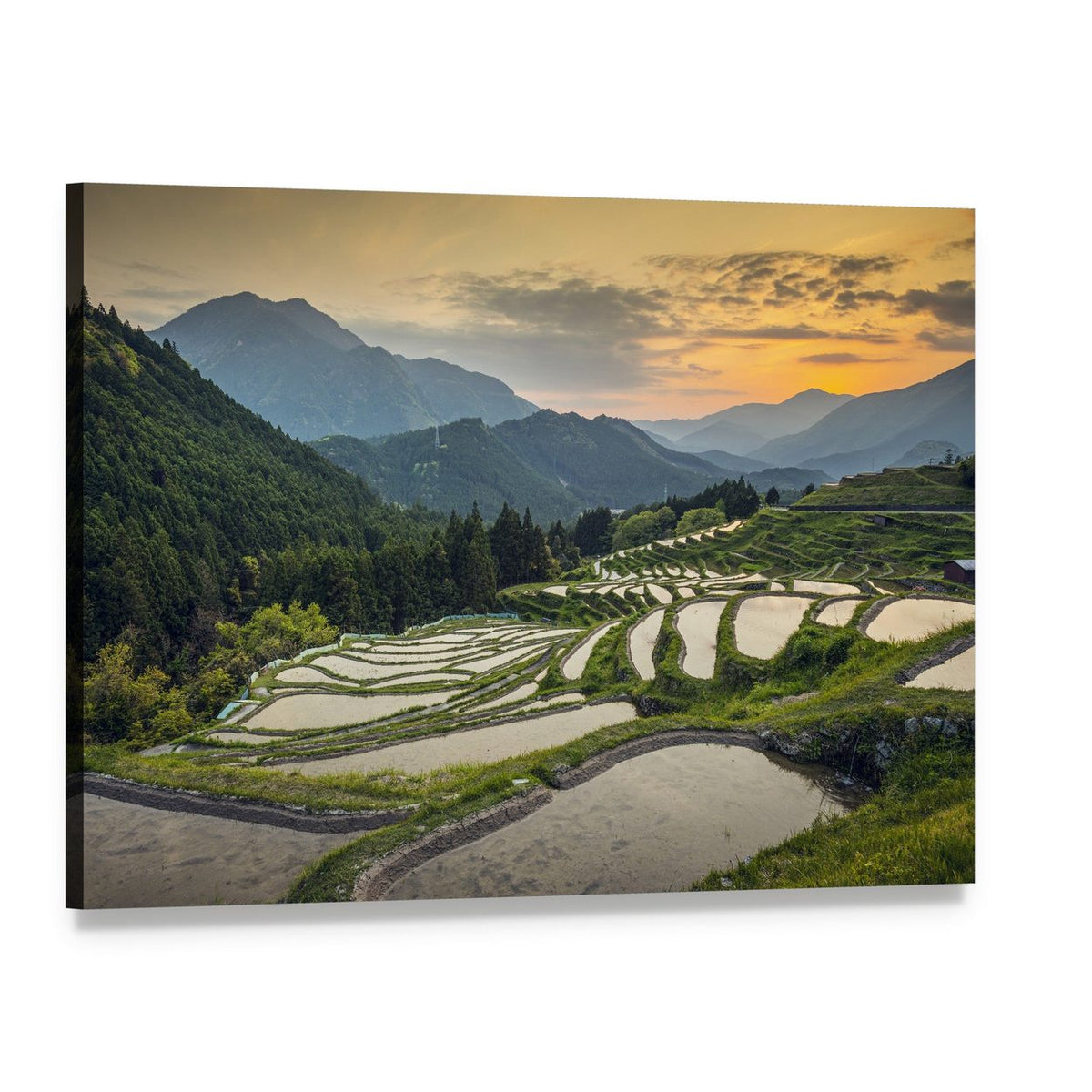 Japanese Rice Terraces Canvas Wall Art, single panel gallery wrapped canvas, angled product view