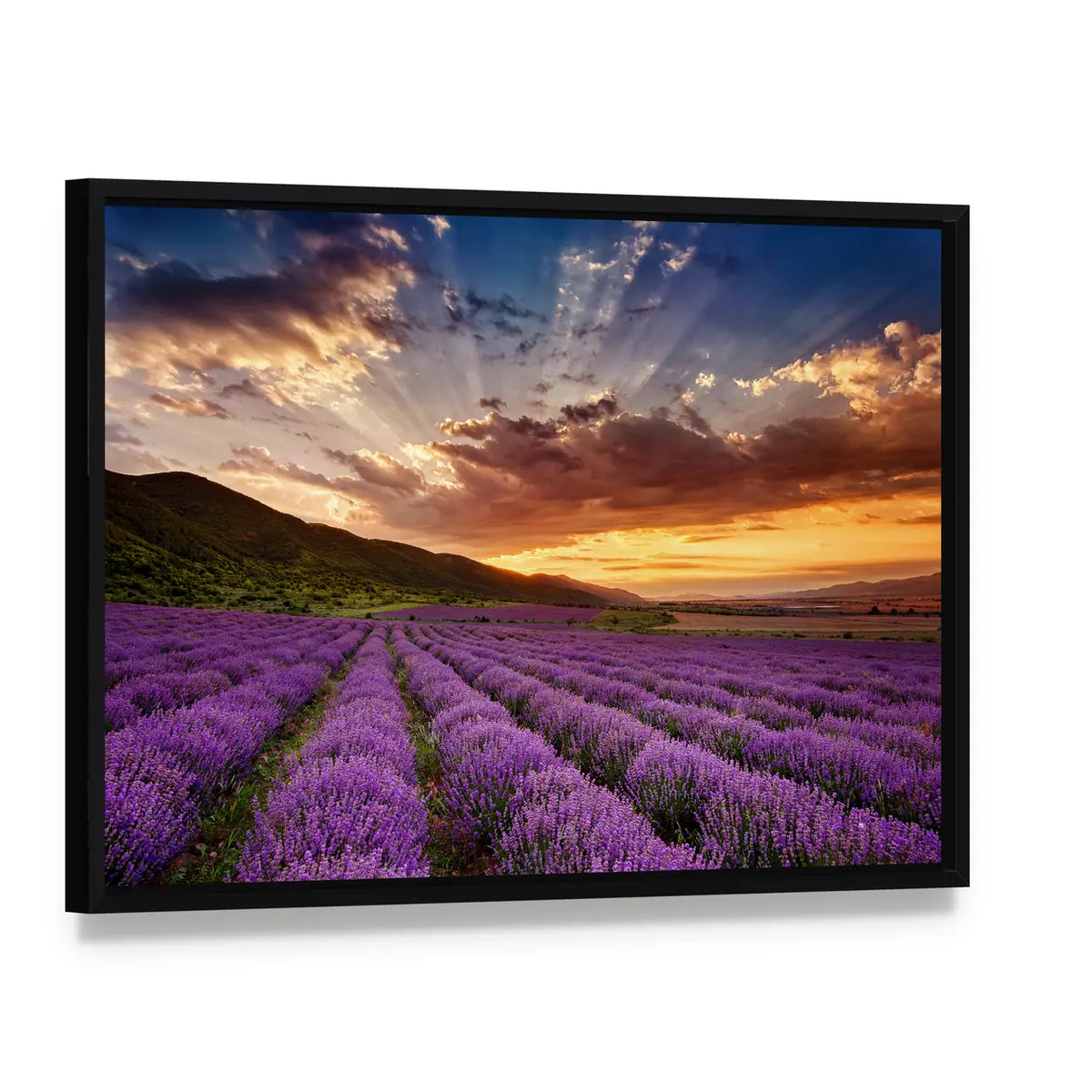 Sunset Over Lavender Field and Mountains Canvas Wall Art, framed canvas in a black floater frame, angled product view