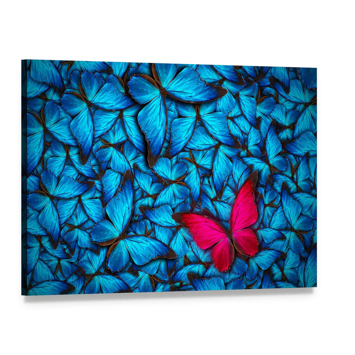 Turquoise Butterflies with Pink Accent Canvas Wall Art, single panel gallery wrapped canvas, angled product view