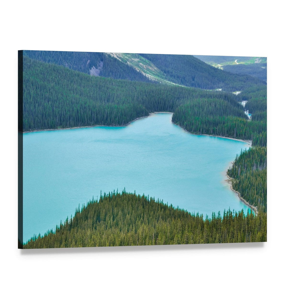 Peyto Lake with Turquoise Waters Canvas Wall Art, single panel gallery wrapped canvas, angled product view