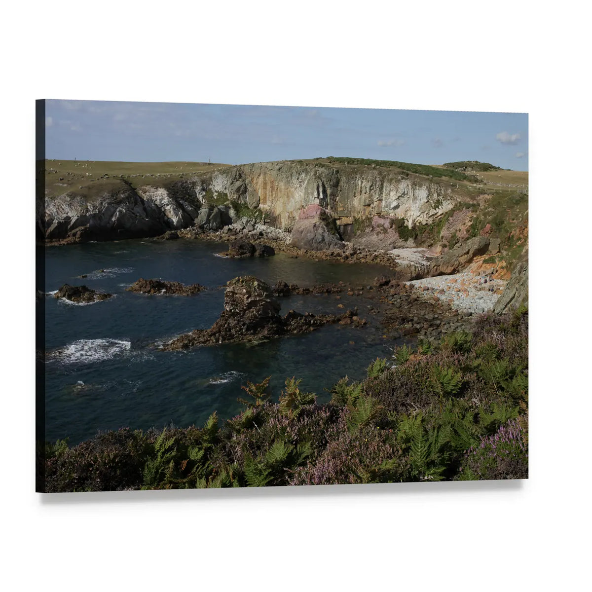 Cliff Top with Coastal Shrubs Canvas Wall Art, single panel gallery wrapped canvas, angled product view