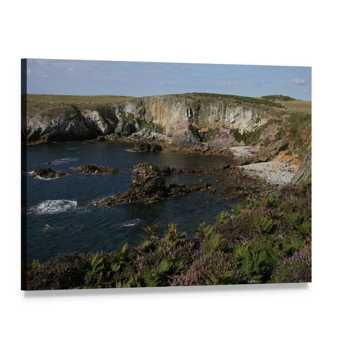 Clifftop Plants Above Rocky Coastline Canvas Wall Art, single panel gallery wrapped canvas, angled product view