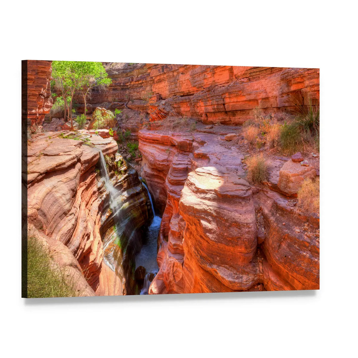 Deer Creek Canyon Canvas Wall Art, single panel gallery wrapped canvas, angled product view
