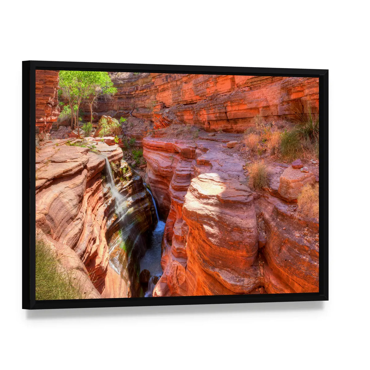 Deer Creek Canyon Canvas Wall Art, framed canvas in a black floater frame, angled product view
