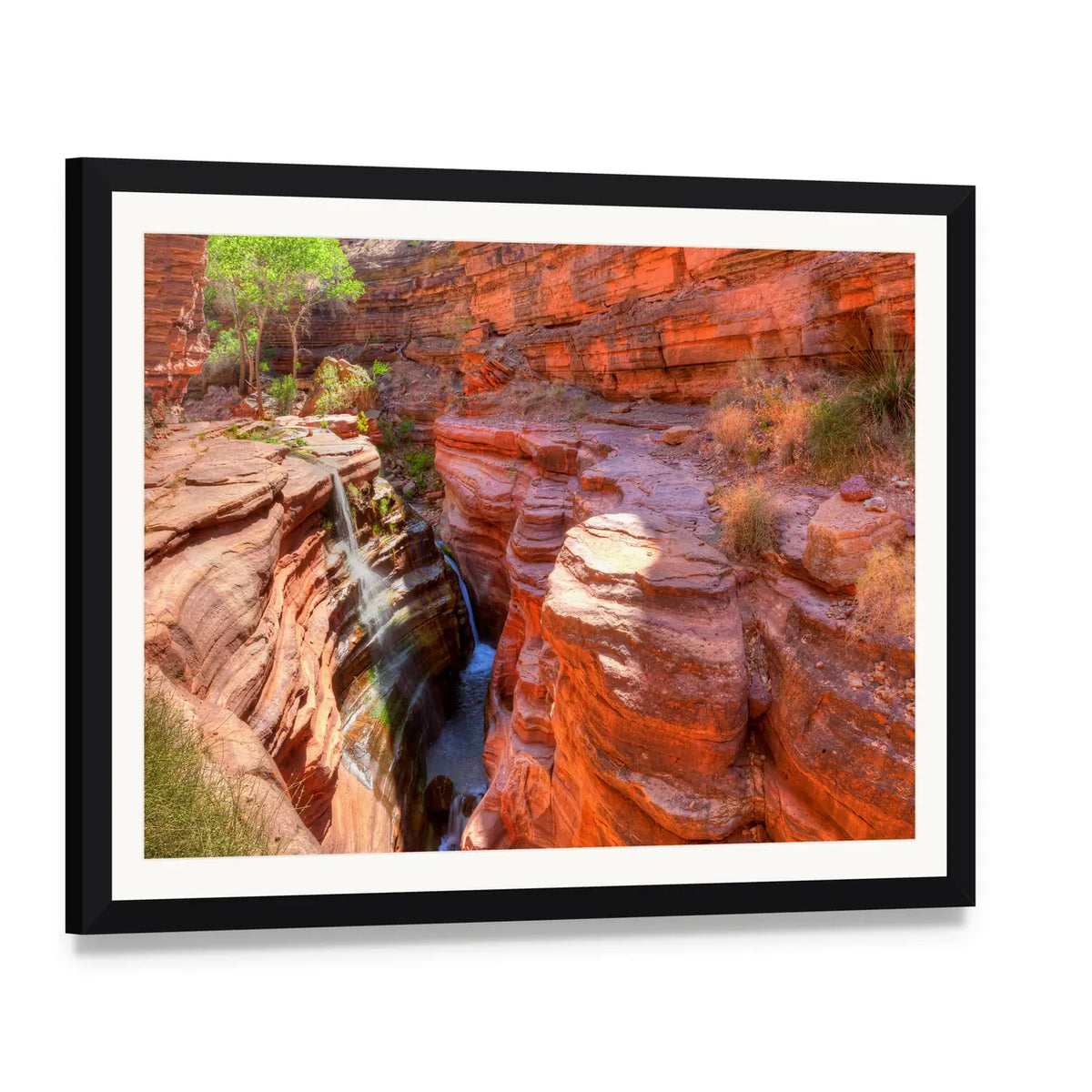 Deer Creek Canyon Canvas Wall Art, framed print with white mat and black frame, angled product view