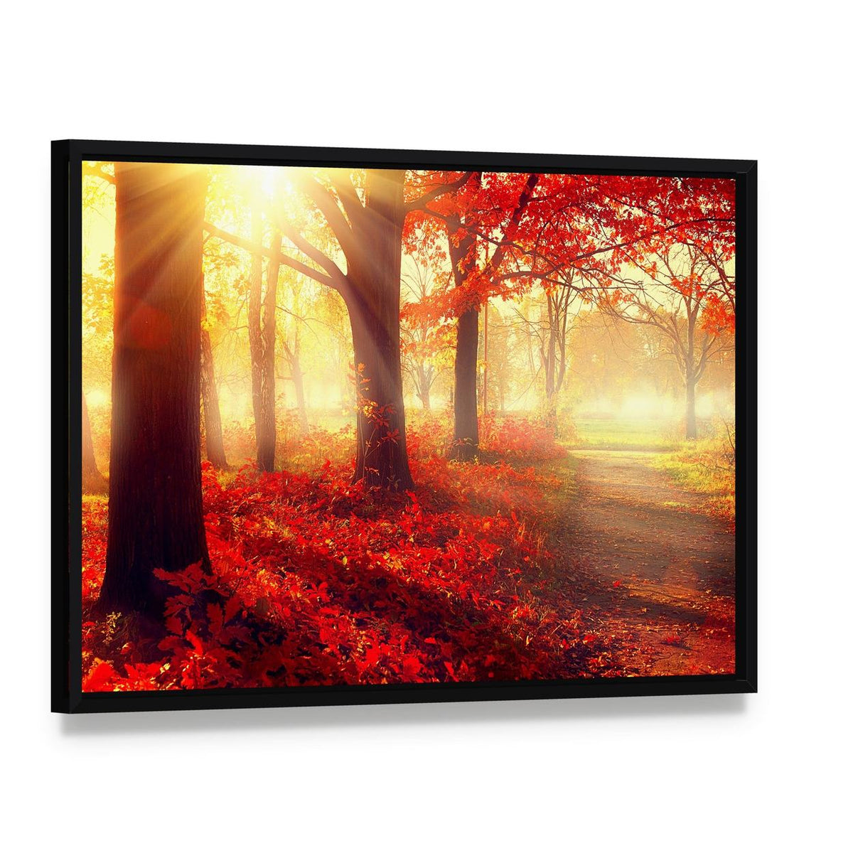 Scenic Autumn Forest Canvas Wall Art, framed canvas in a black floater frame, angled product view