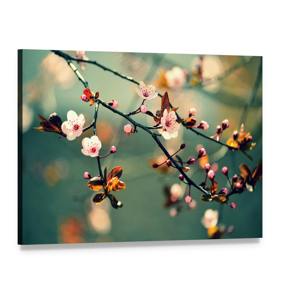 Flowering Japanese Cherry Canvas Wall Art, single panel gallery wrapped canvas, angled product view