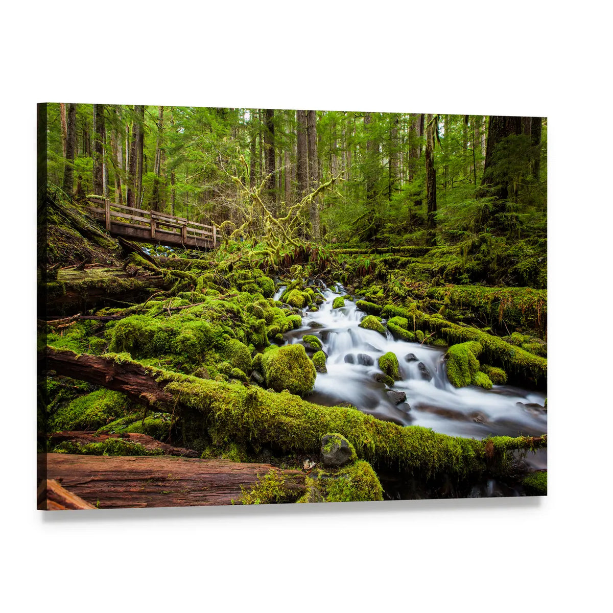 Sol Duc Falls Trail In Olympic National Park Canvas Wall Art, single panel gallery wrapped canvas, angled product view