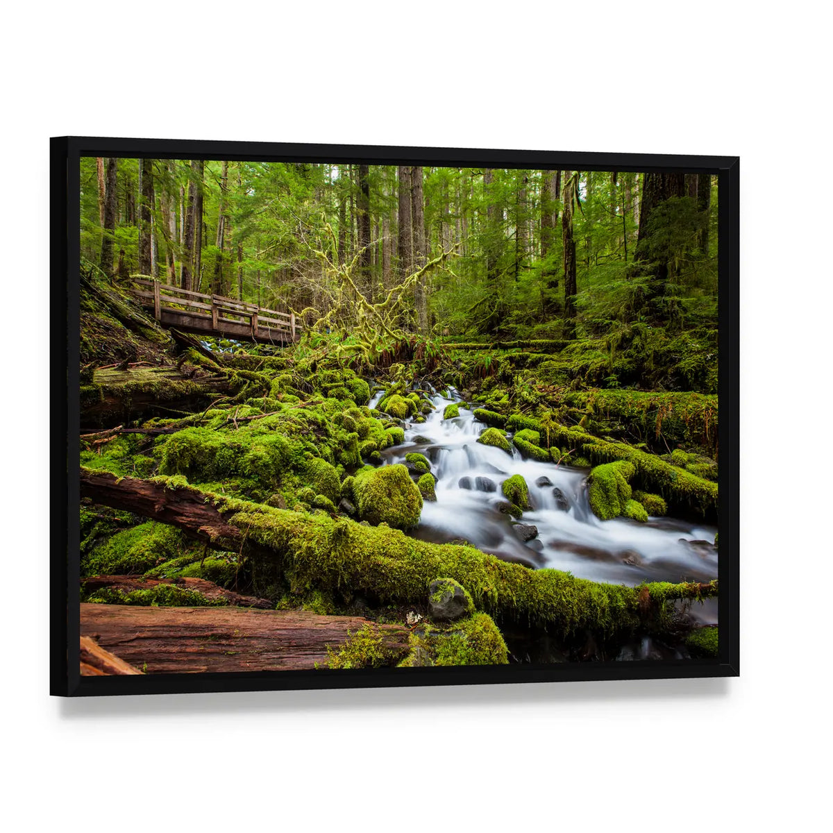 Sol Duc Falls Trail In Olympic National Park Canvas Wall Art, framed canvas in a black floater frame, angled product view