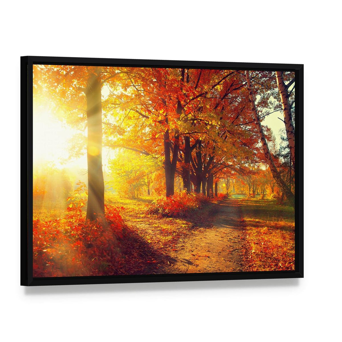 Sun Rays in Autumn Park Canvas Wall Art, framed canvas in a black floater frame, angled product view