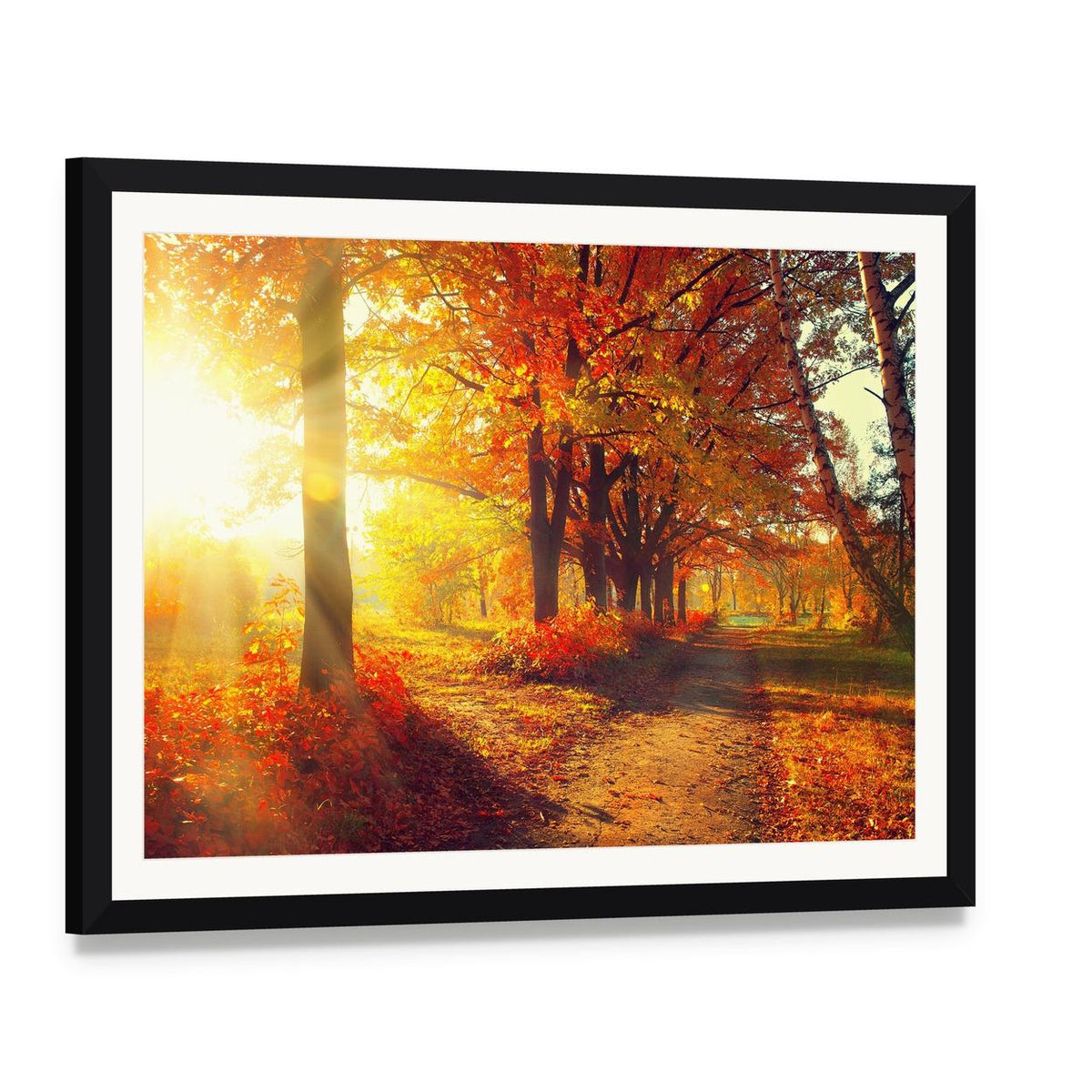 Sun Rays in Autumn Park Canvas Wall Art, framed print with white mat and black frame, angled product view