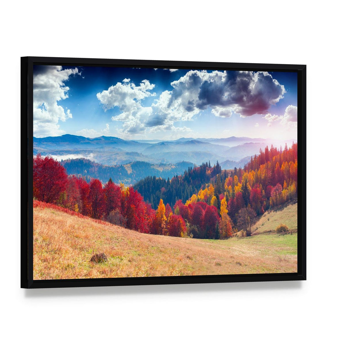 Autumn Landscape in Ukraine Canvas Wall Art, framed canvas in a black floater frame, angled product view
