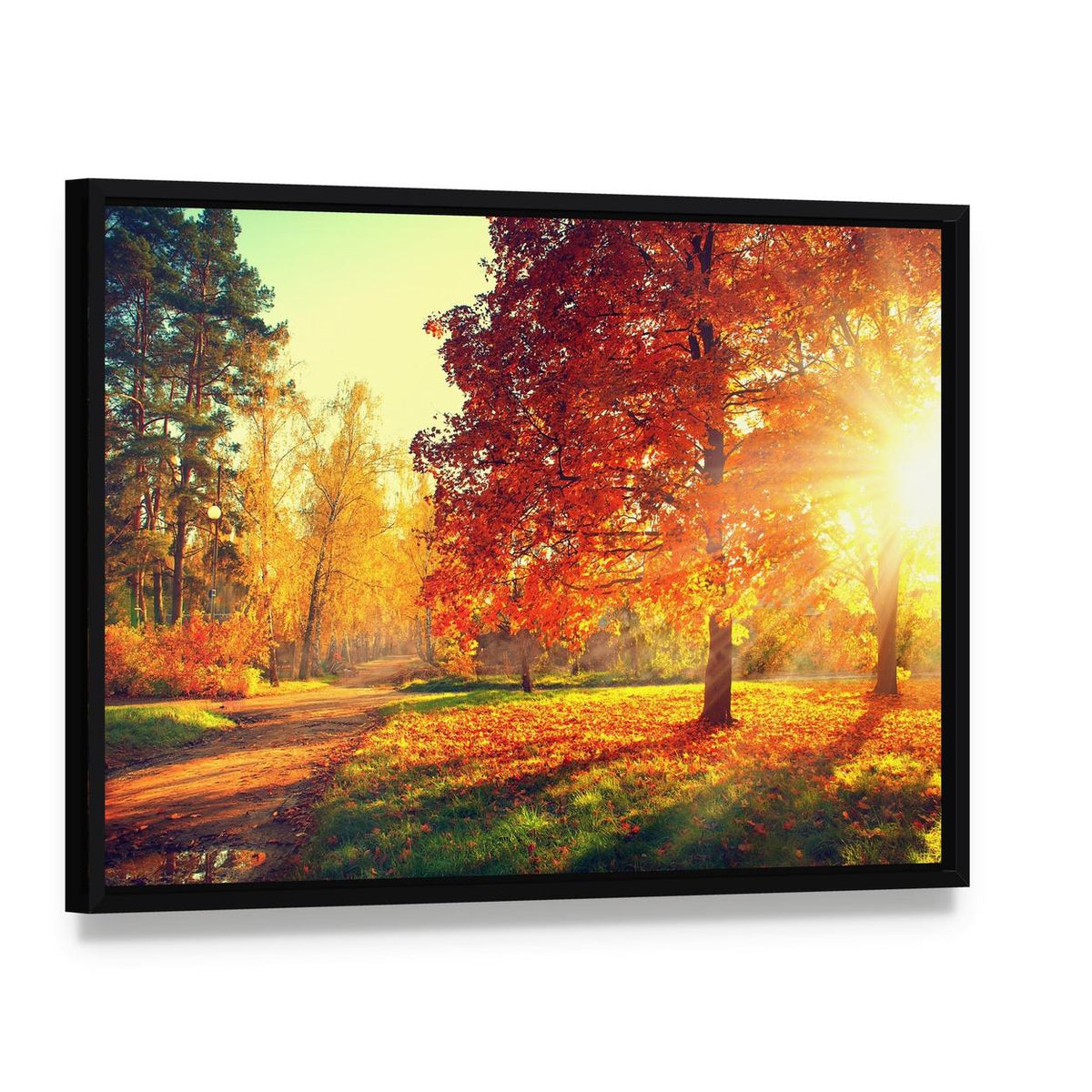 Colorful Autumn Morning Canvas Wall Art, framed canvas in a black floater frame, angled product view