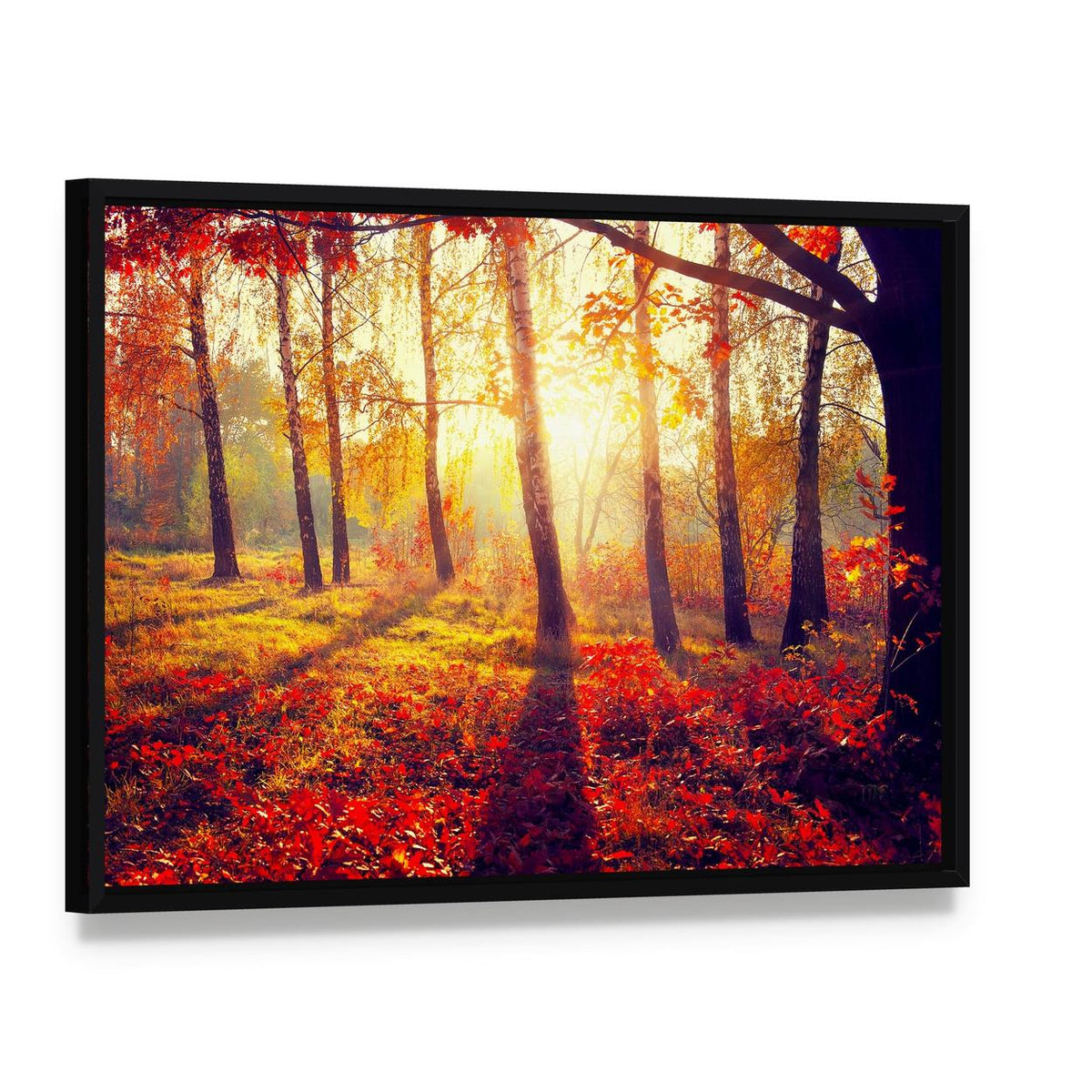 Autumn Trees with Sunbeams Canvas Wall Art, framed canvas in a black floater frame, angled product view