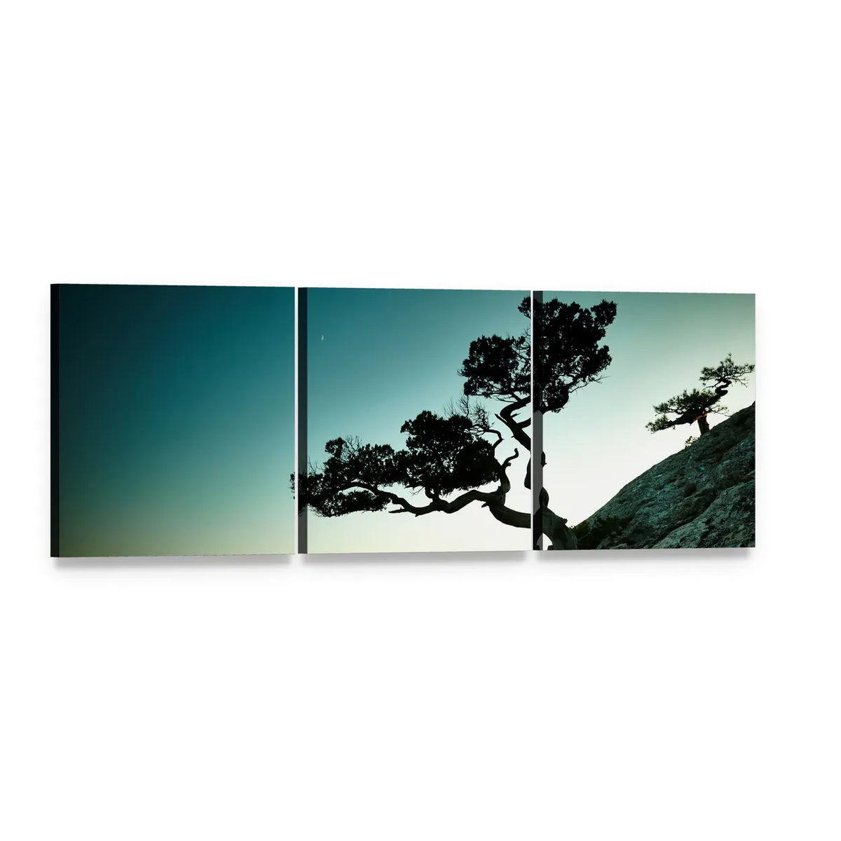 Gnarled Tree at Sunset Over the Sea Panoramic Canvas Wall Art, 3 panel 3 Piece layout gallery wrapped canvas set, angled product view