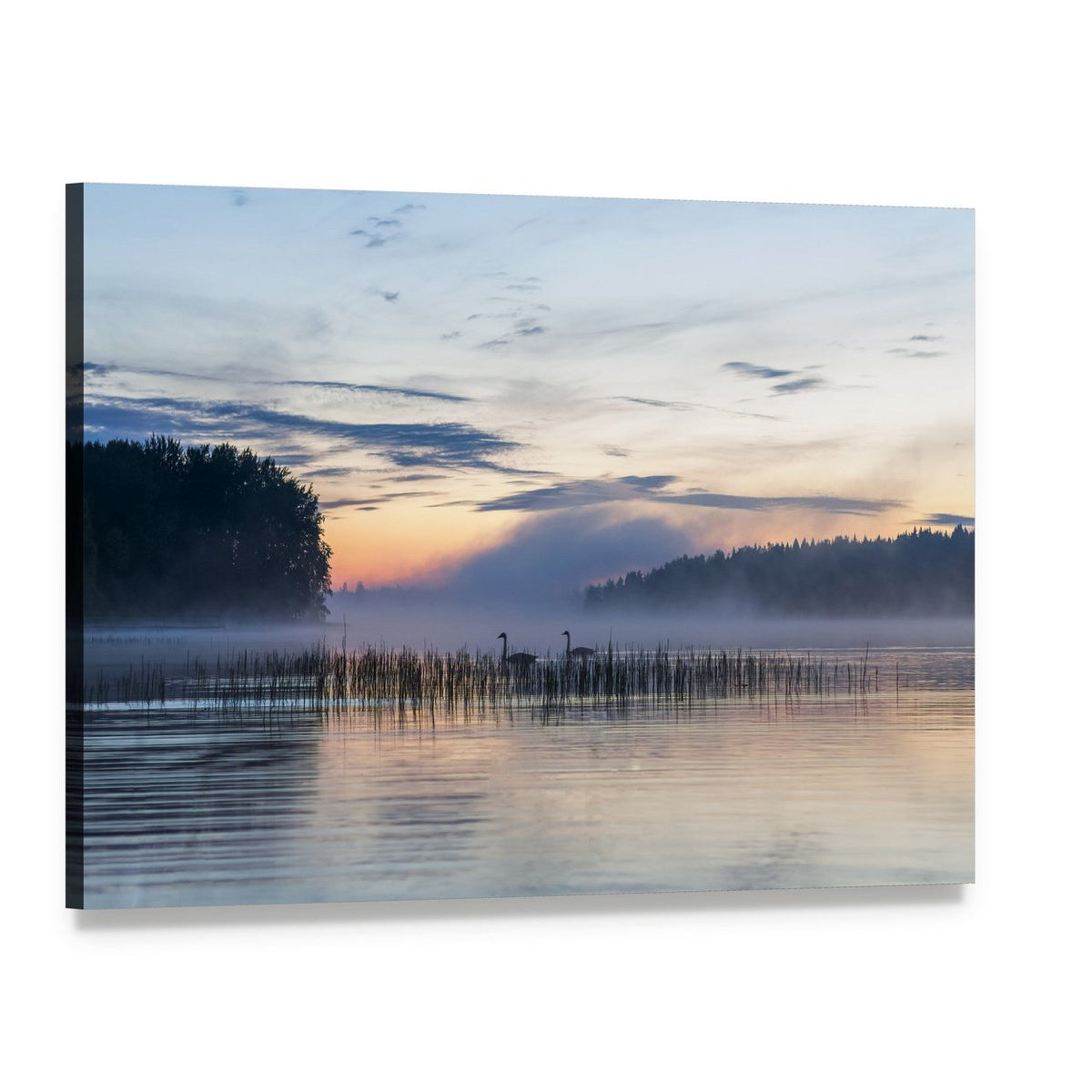 Misty Lake with Swans and Reeds Canvas Wall Art, single panel gallery wrapped canvas, angled product view