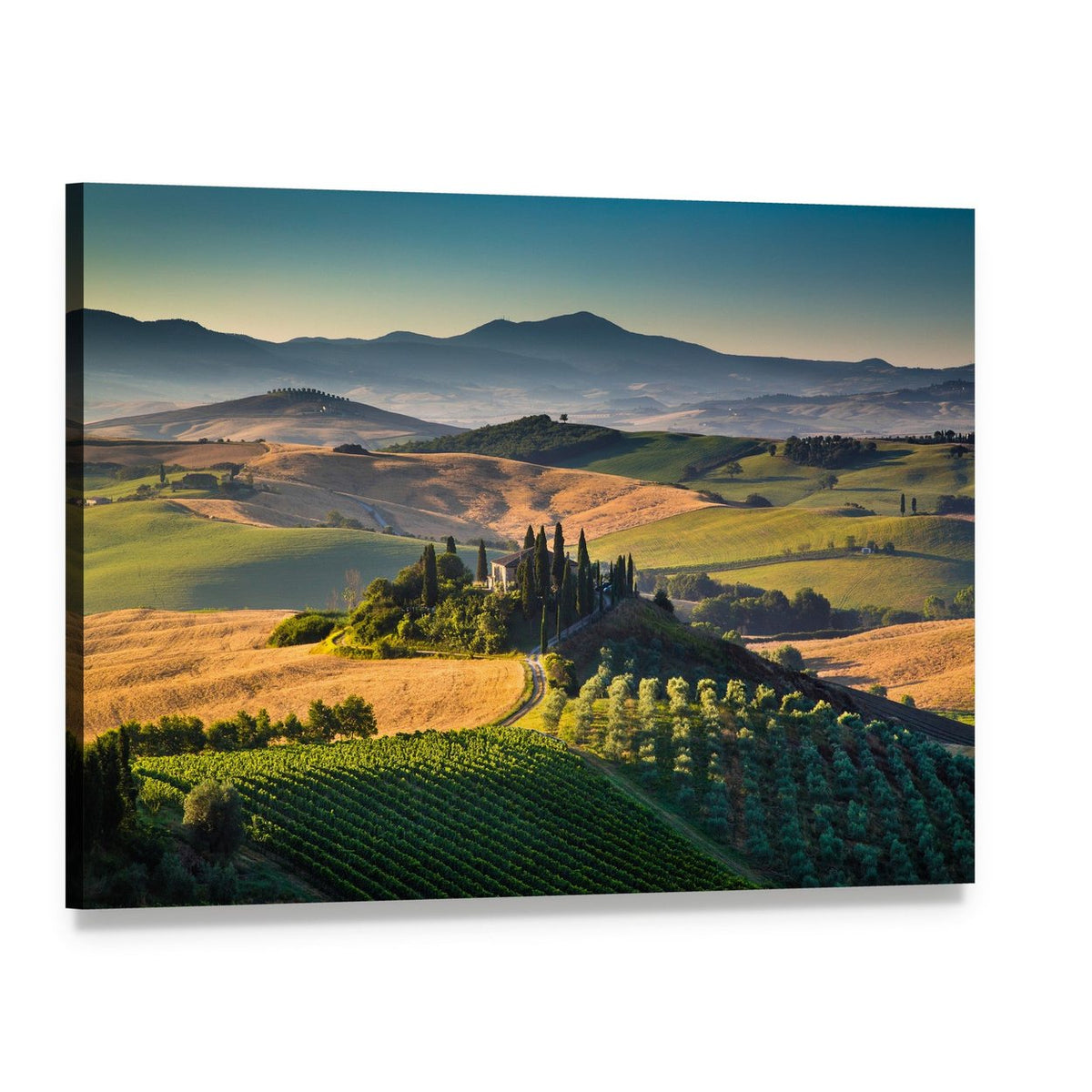 Tuscan Hills in Morning Light Canvas Wall Art, single panel gallery wrapped canvas, angled product view