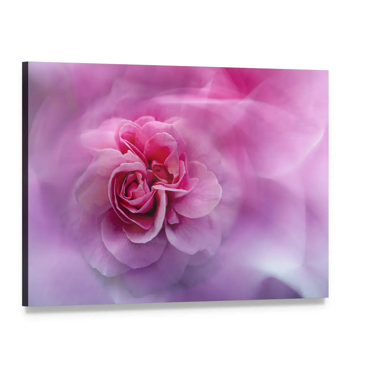 Scenic Rose Abstract Canvas Wall Art, single panel gallery wrapped canvas, angled product view