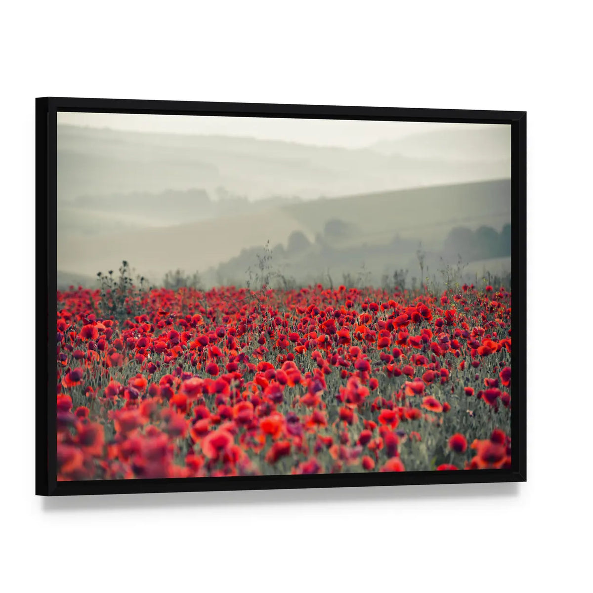 Field of Red Poppies Canvas Wall Art, framed canvas in a black floater frame, angled product view