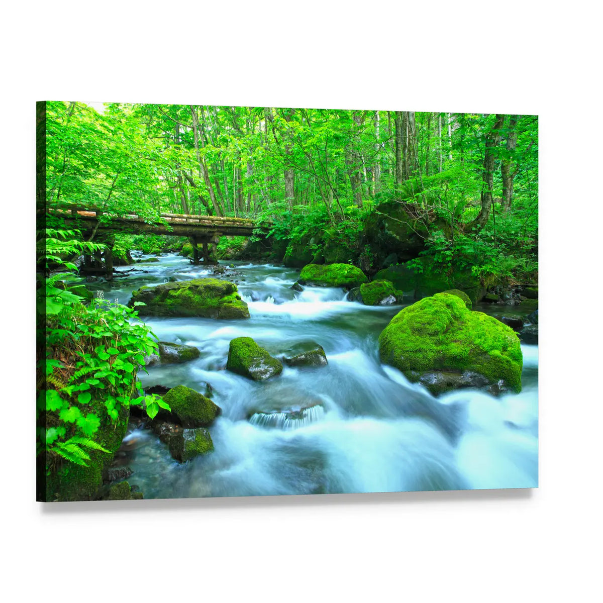 Stream In Spring Forest Canvas Wall Art, single panel gallery wrapped canvas, angled product view
