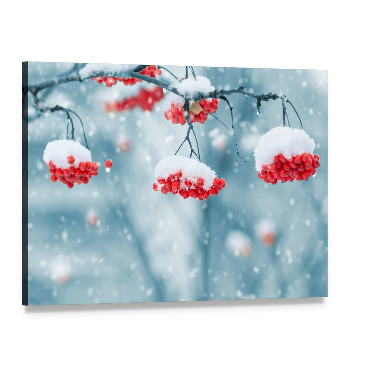 Snow Covered Mountain Ash Canvas Wall Art, single panel gallery wrapped canvas, angled product view