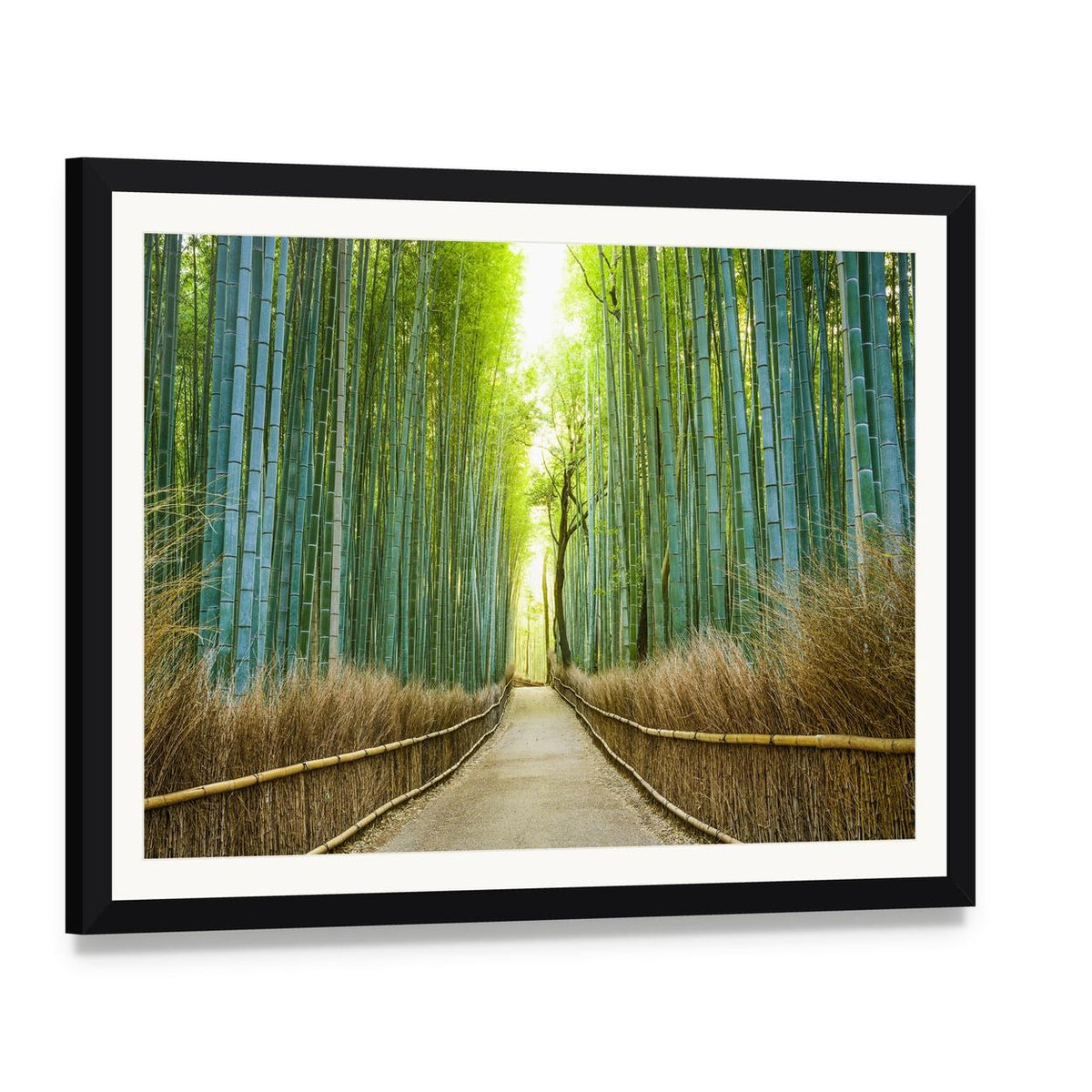 Tranquil Bamboo Forest Path Canvas Wall Art, framed print with white mat and black frame, angled product view