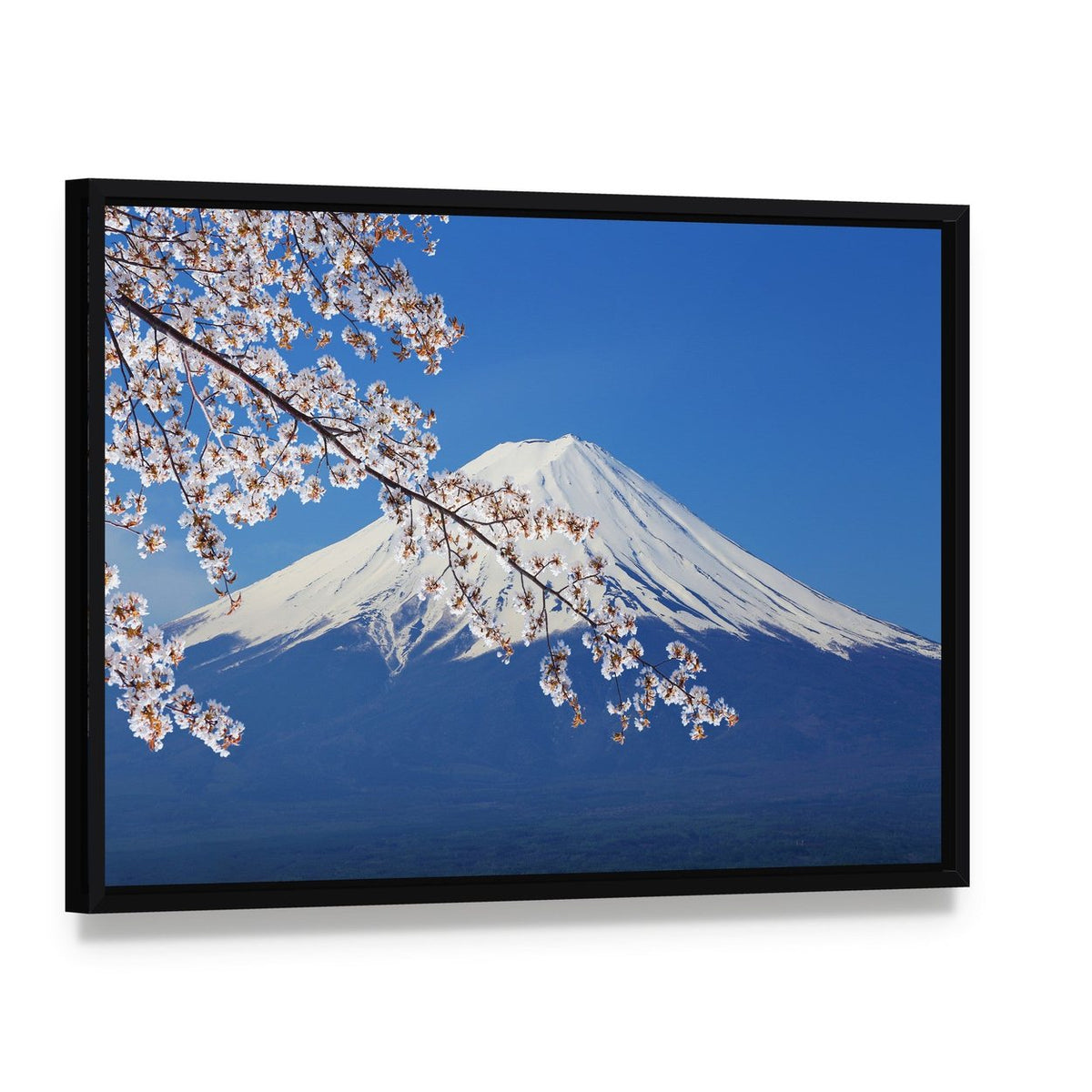 Mount Fuji with Cherry Blossoms in Spring Canvas Wall Art, framed canvas in a black floater frame, angled product view